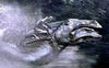 aiwhamini01.jpg (3 ko)