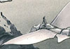 aiwhamini04.jpg (3 ko)